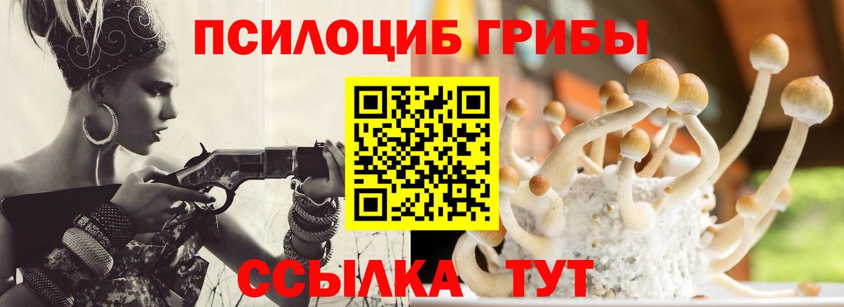 Галлюциногенные грибы Psilocybe  Вход с VPN  Кузнецк 